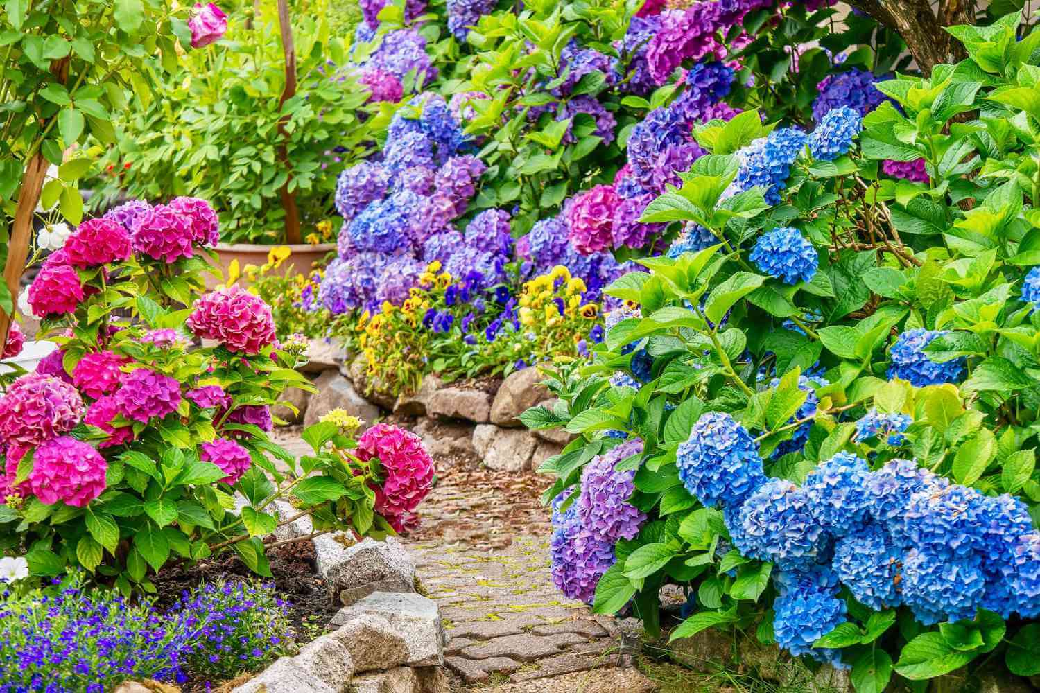 prepare a garden for winter
